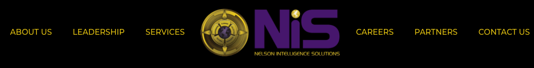 Nelson Intelligence Solutions
